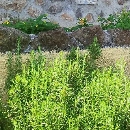 Borgo Dei Sagari * Zagarolo
